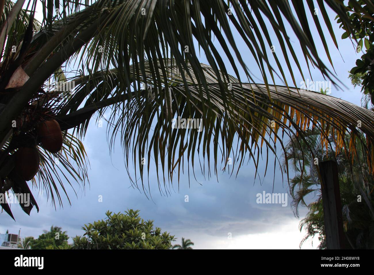 Florida hurricane season hi-res stock photography and images - Alamy