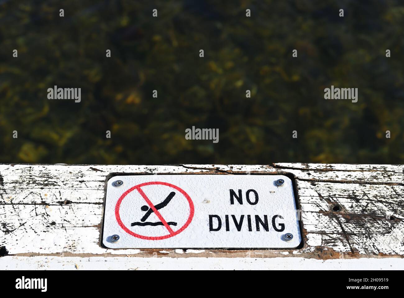 A damp no divining sign on a white weatherworn wooden surface, with out of focus water in the background Stock Photo