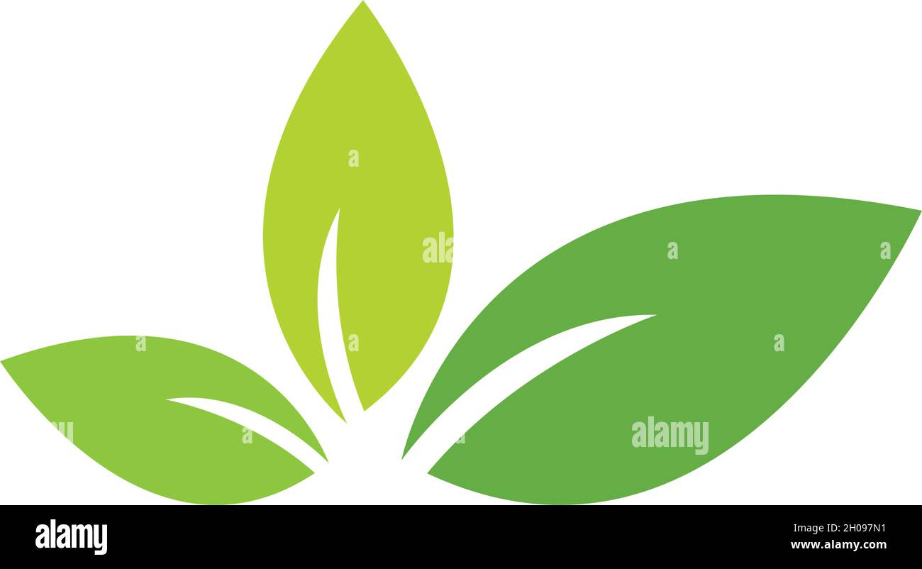 Green leaf logo ecology nature element vector Stock Vector Image & Art ...