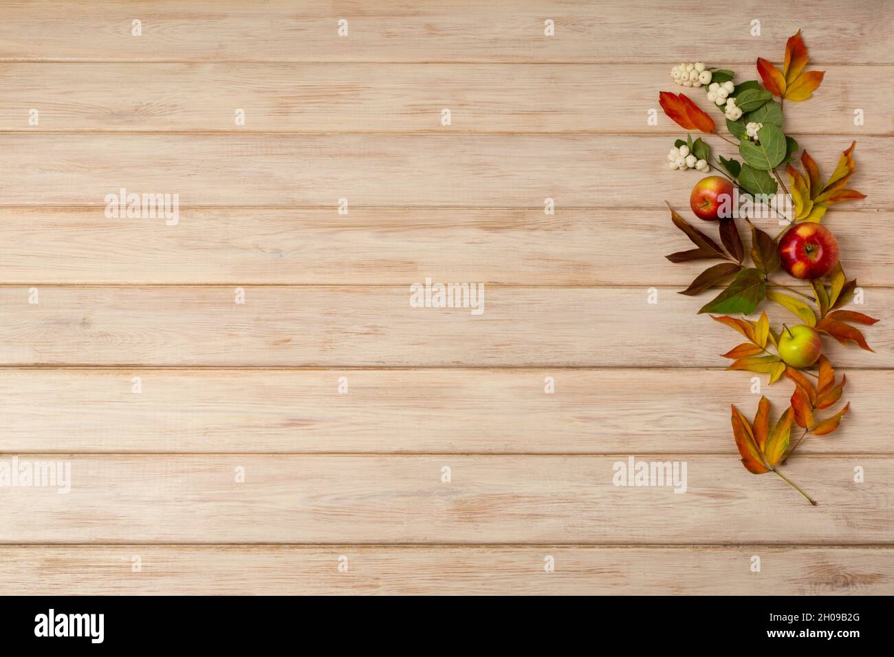 Fall background with apples, snowberry, red and green fall leaves on the white painted wooden table, copy space Stock Photo