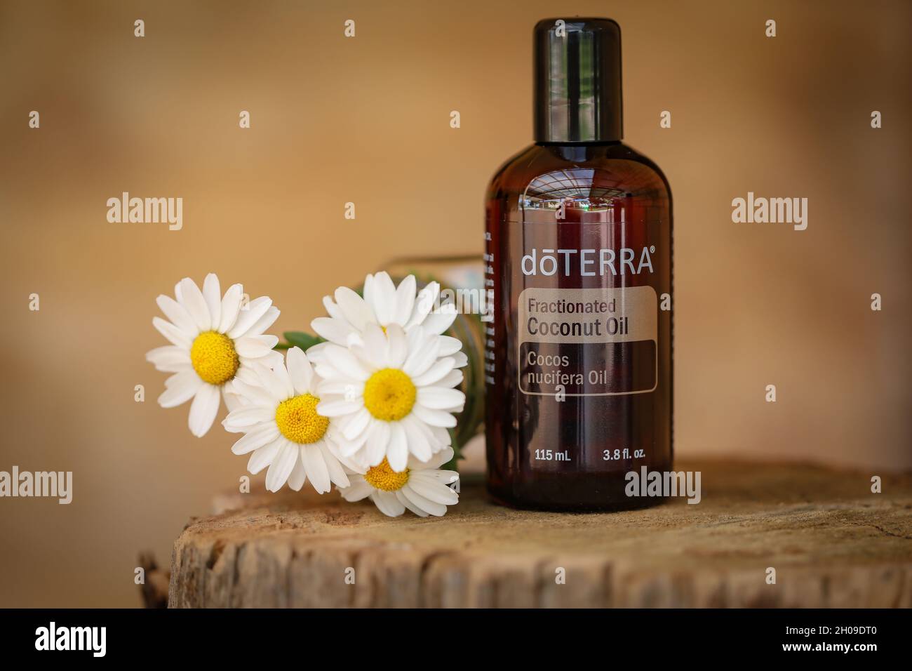 Doterra Fractionated Coconut Oil on display with pretty chrysanthemum