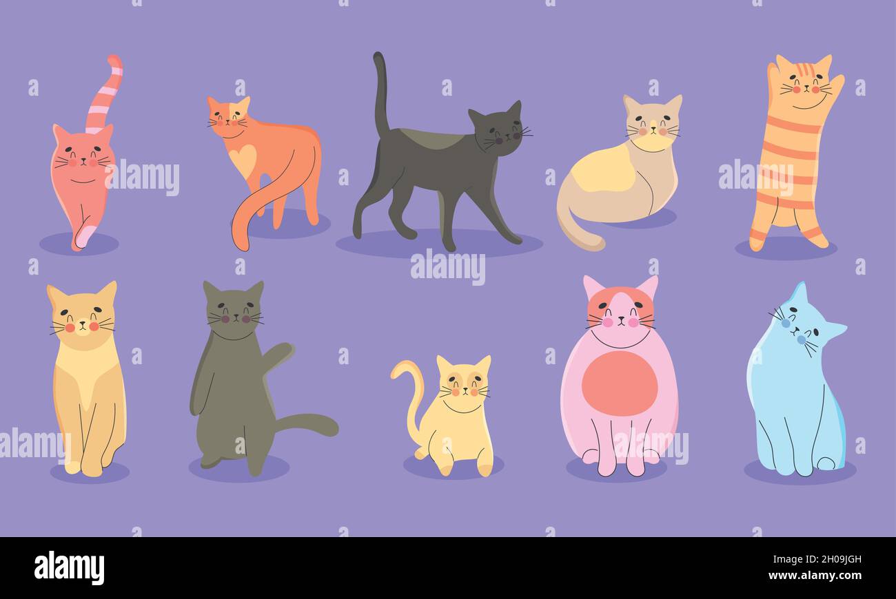 adorable cats icon set design Stock Vector