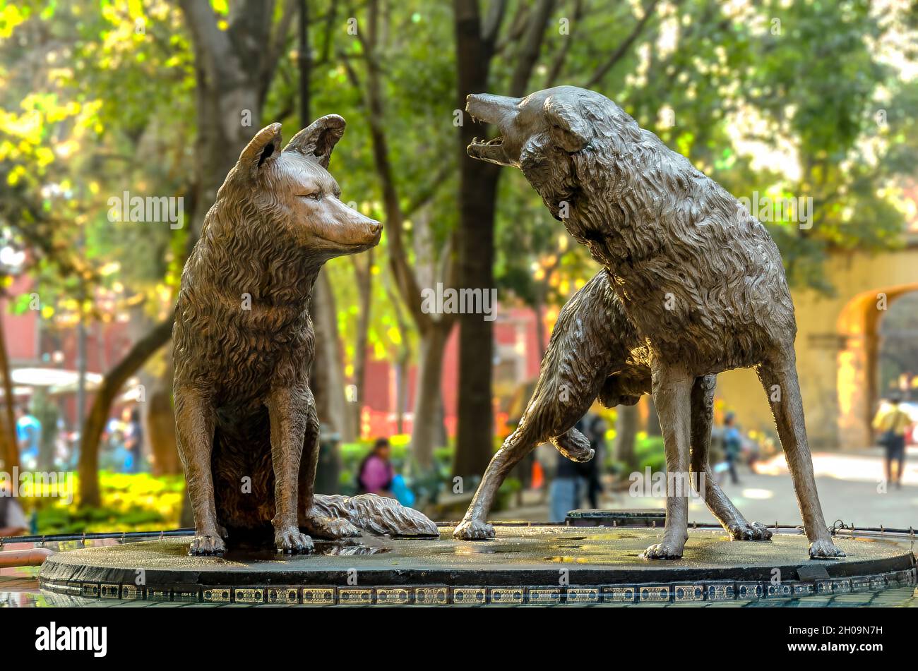 Coyotes fountain in Jardin Centenario, Coyoacan, Mexico City Stock Photo