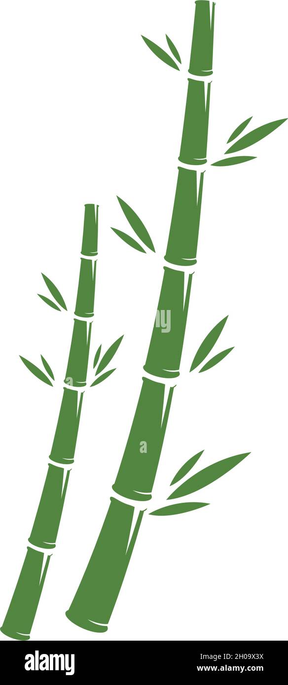 Bamboo logo ilustration vector template Stock Vector