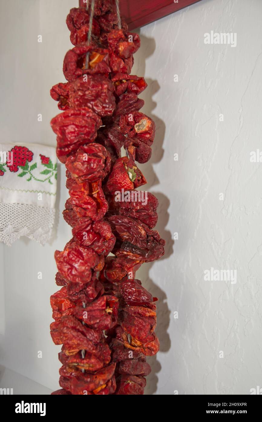 traditionally dried pepper, bell pepper. Selective Focus Dried Paprika