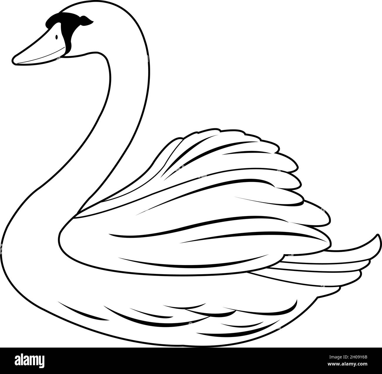 A beautiful white swan. Vector black and white coloring page Stock