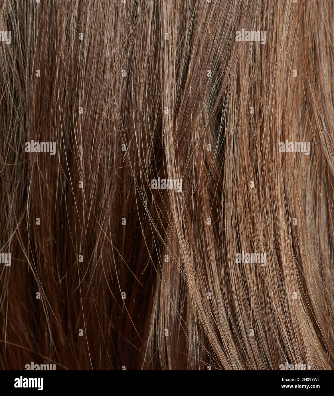 Light brown hair background. Shiny healthy hair Stock Photo