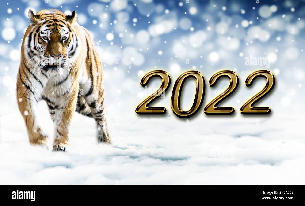2022 New Year's card abstract background with a tiger, with snowflakes, новогодние illustration Stock Photo - Alamy 2022 New Year's card abstract background with a tiger, with snowflakes, новогодние illustration Stock Photo - Alamy