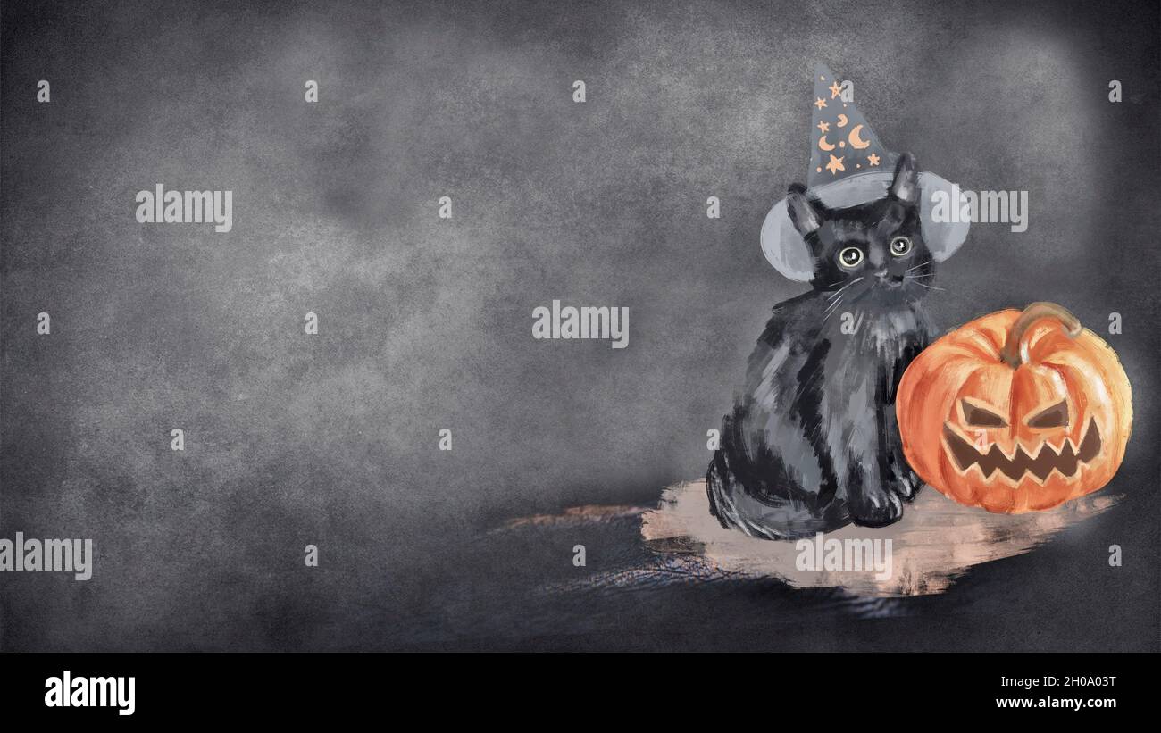 Halloween background. Black cat in magic hat with halloween pumpkin Stock Photo