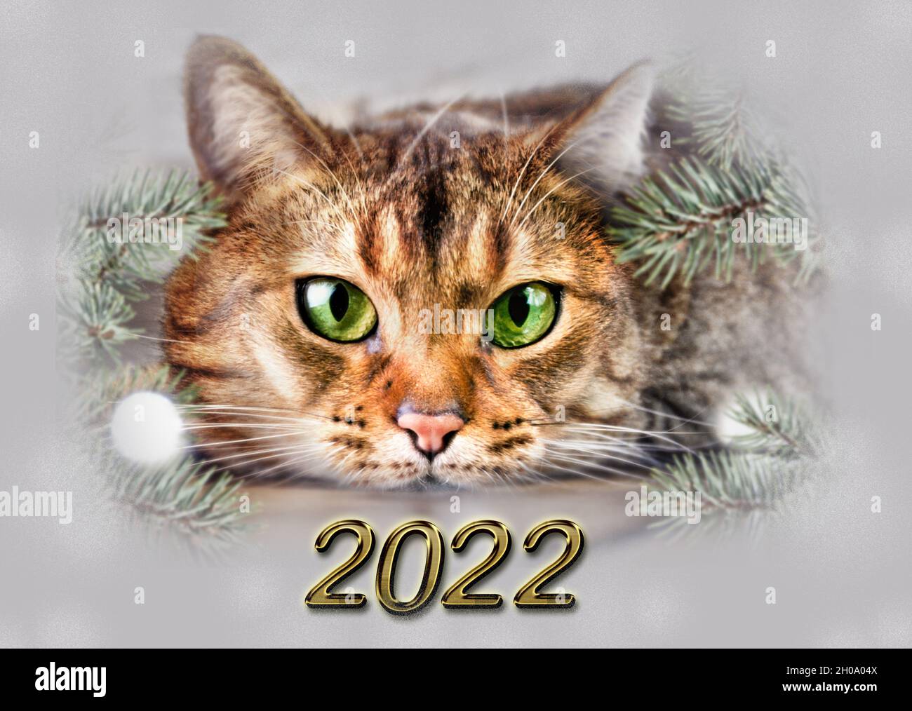 Happy New Year 2022, numbers,cat, christmas, new year cat, santa,  New Year’s card Stock Photo