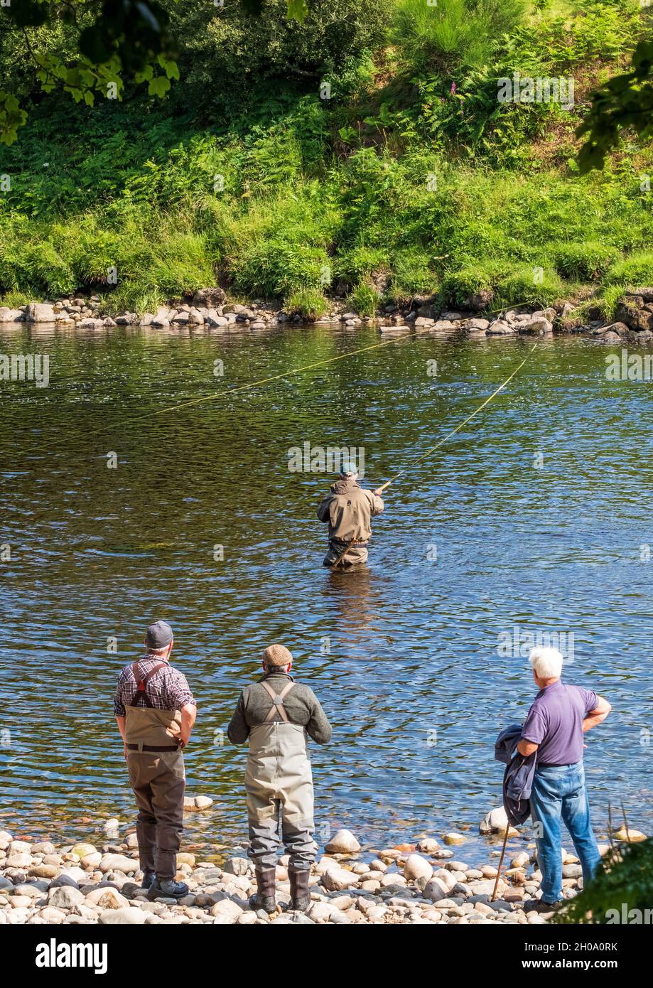 Three men watch another fly fishing in the River Dee near Banchory Stock Photo