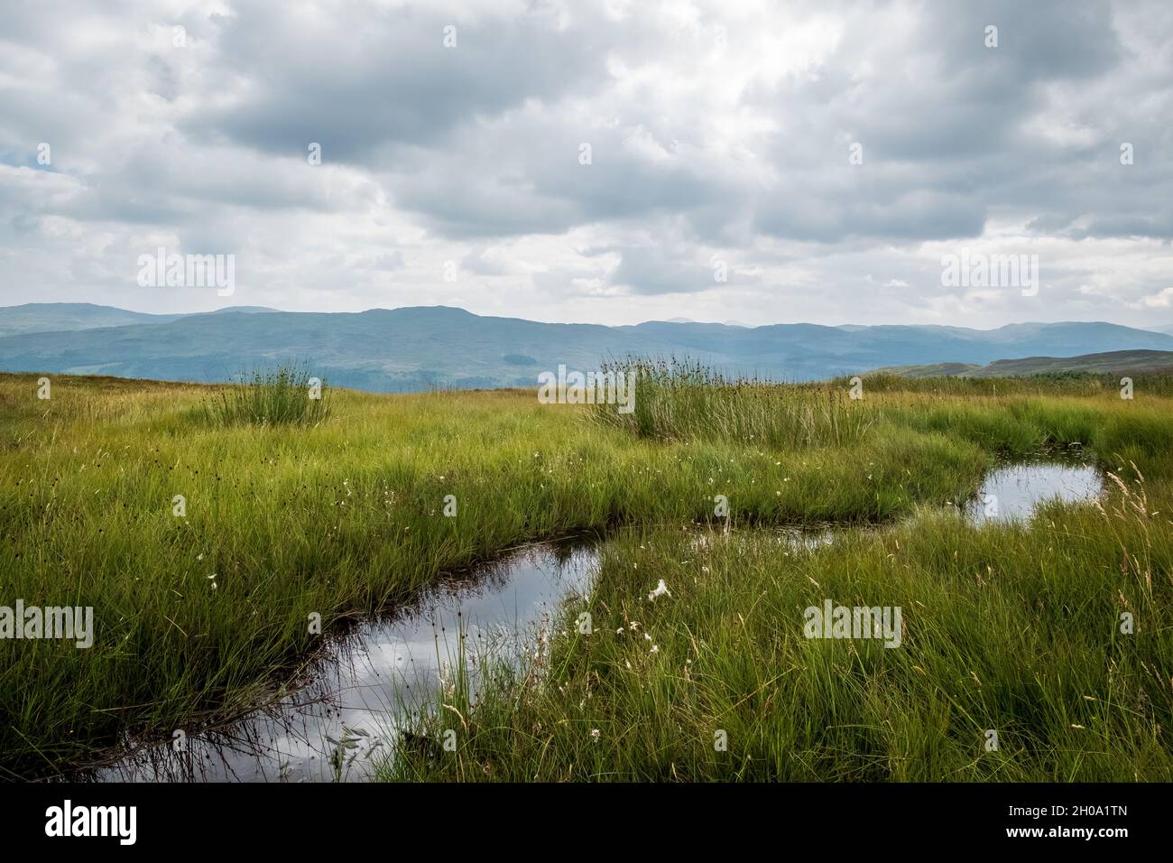 Stagnant water and grass - peat bogs in to the landscape north of Loch Tay in Perthshire, Scotland Stock Photo