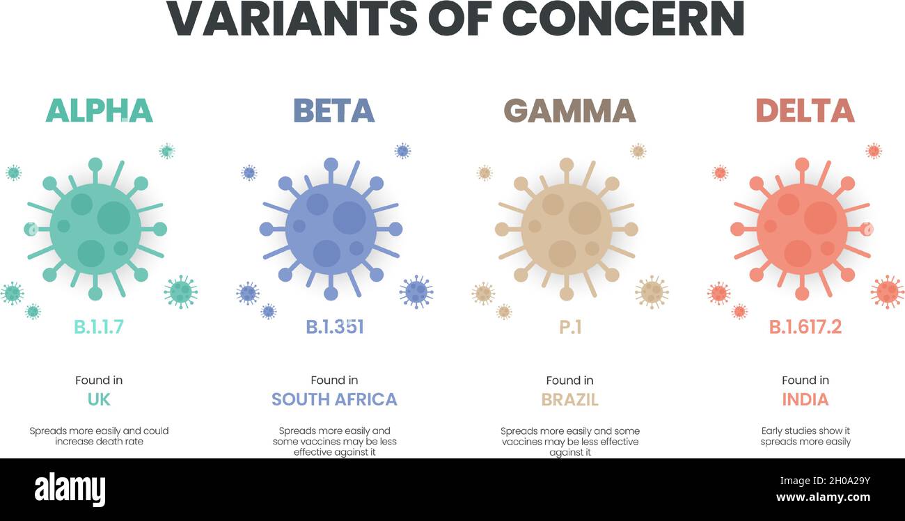 Illustrator Vector Of The Covid 19 Virus New Variants Of Concern Concept A Variant Is Mutated Version Of The Original Virus Colorful Infographic Stock Vector Image Art Alamy