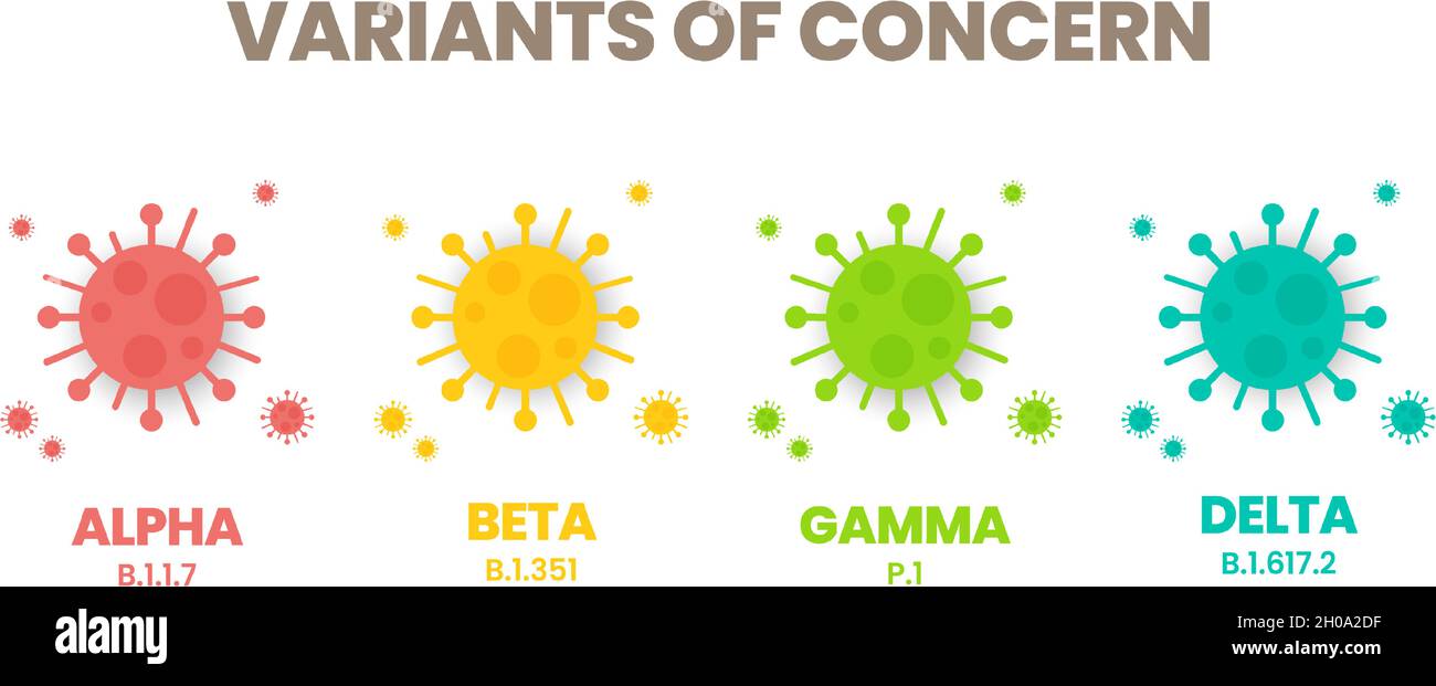 Illustrator Vector Of The Covid 19 Virus New Variants Of Concern Concept A Variant Is Mutated Version Of The Original Virus Colorful Infographic Stock Vector Image Art Alamy