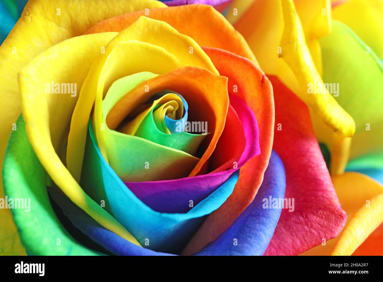 Download Rainbow Flower iPhone Smiley Face Wallpaper  Wallpaperscom