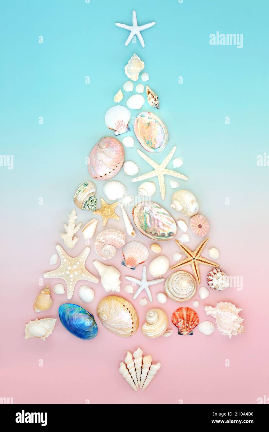 Christmas sea shell tree concept shape for alternative southern hemisphere design. Creative abstract composition on gradient pastel pink and blue back Stock Photo