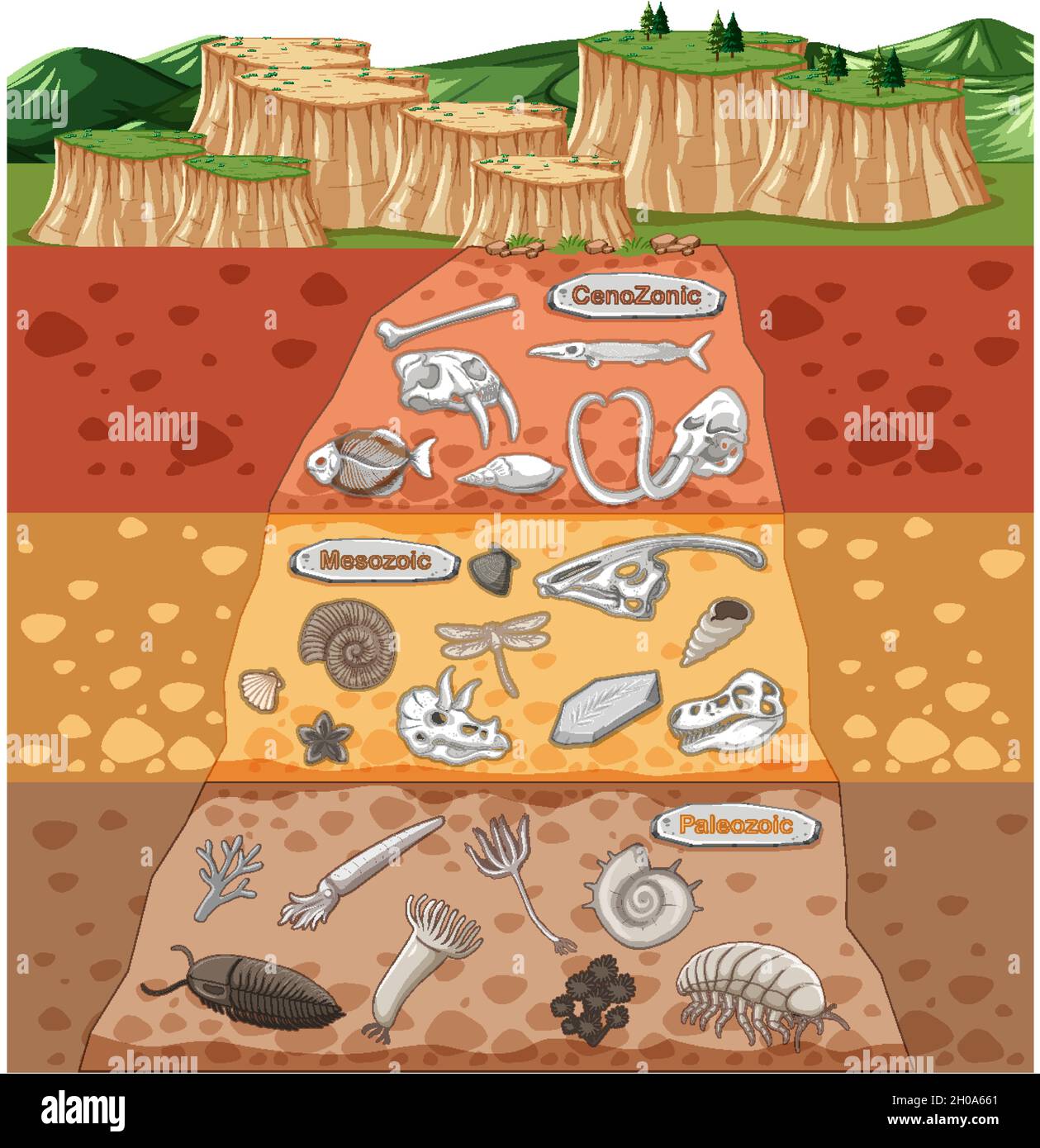 Learning about dinosaurs cut out stock images pictures alamy