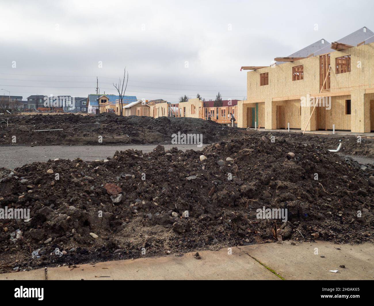 Phoenix, OR, January 11, 2021 -- Rebuilding is beginning to take shape four months after the Almeda fire destroyed some 2800 structures in Talent and Phoenix Stock Photo