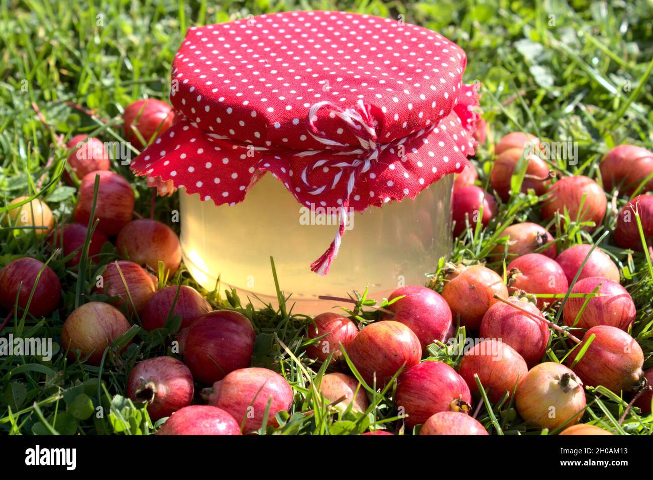 chinese apple jelly and chinese apples Stock Photo Alamy