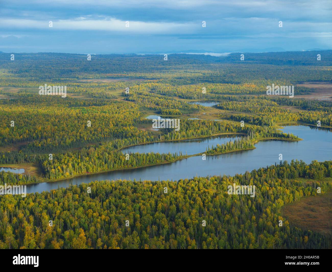 Boreal forests aerial hi-res stock photography and images - Alamy