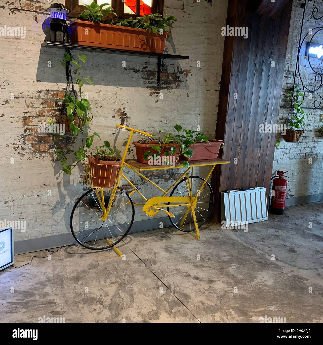 Cafe , trees , Bicycle , birds Stock Photo