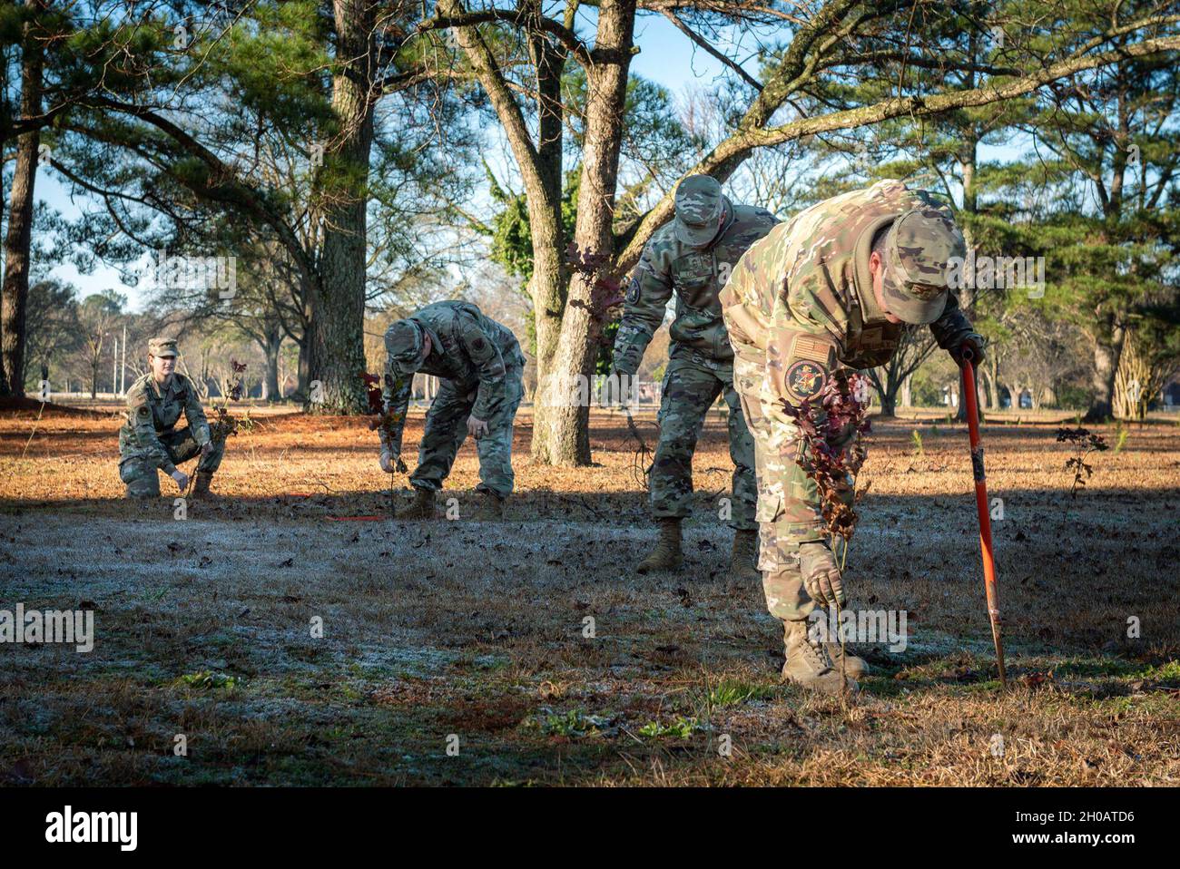 Alice Cochran Hi res Stock Photography And Images Alamy