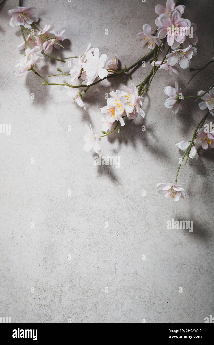 Pink flowers branches on grey surface Stock Photo