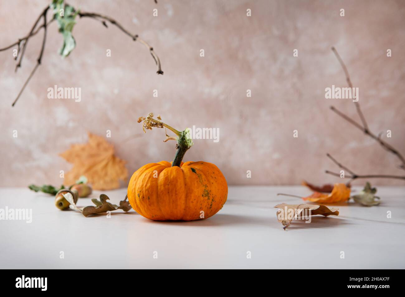 Halloween background ith pumpkin and copy space Stock Photo