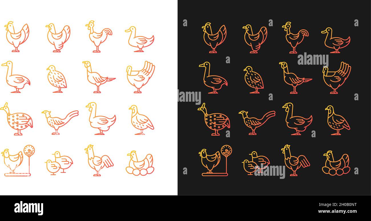Farm birds for poultry gradient icons set for dark and light mode Stock ...