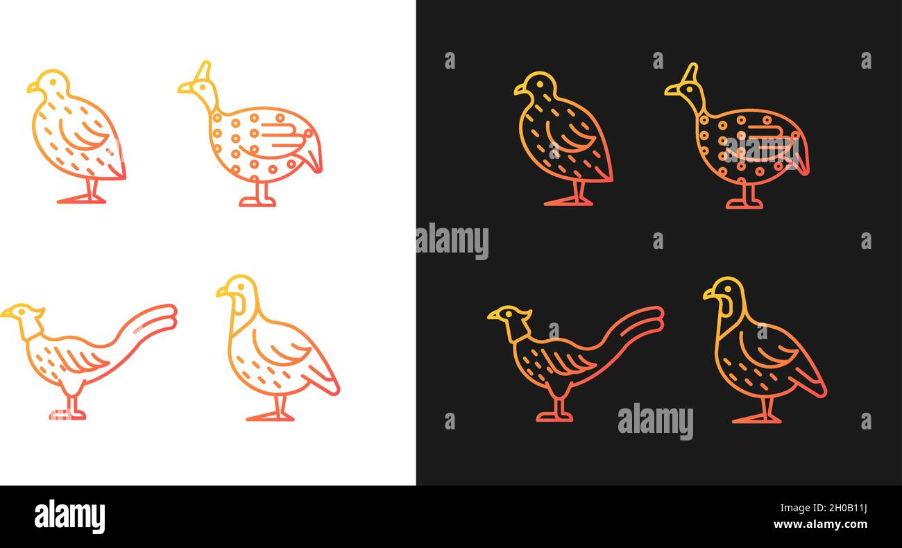 Landfowl gradient icons set for dark and light mode Stock Vector Image ...
