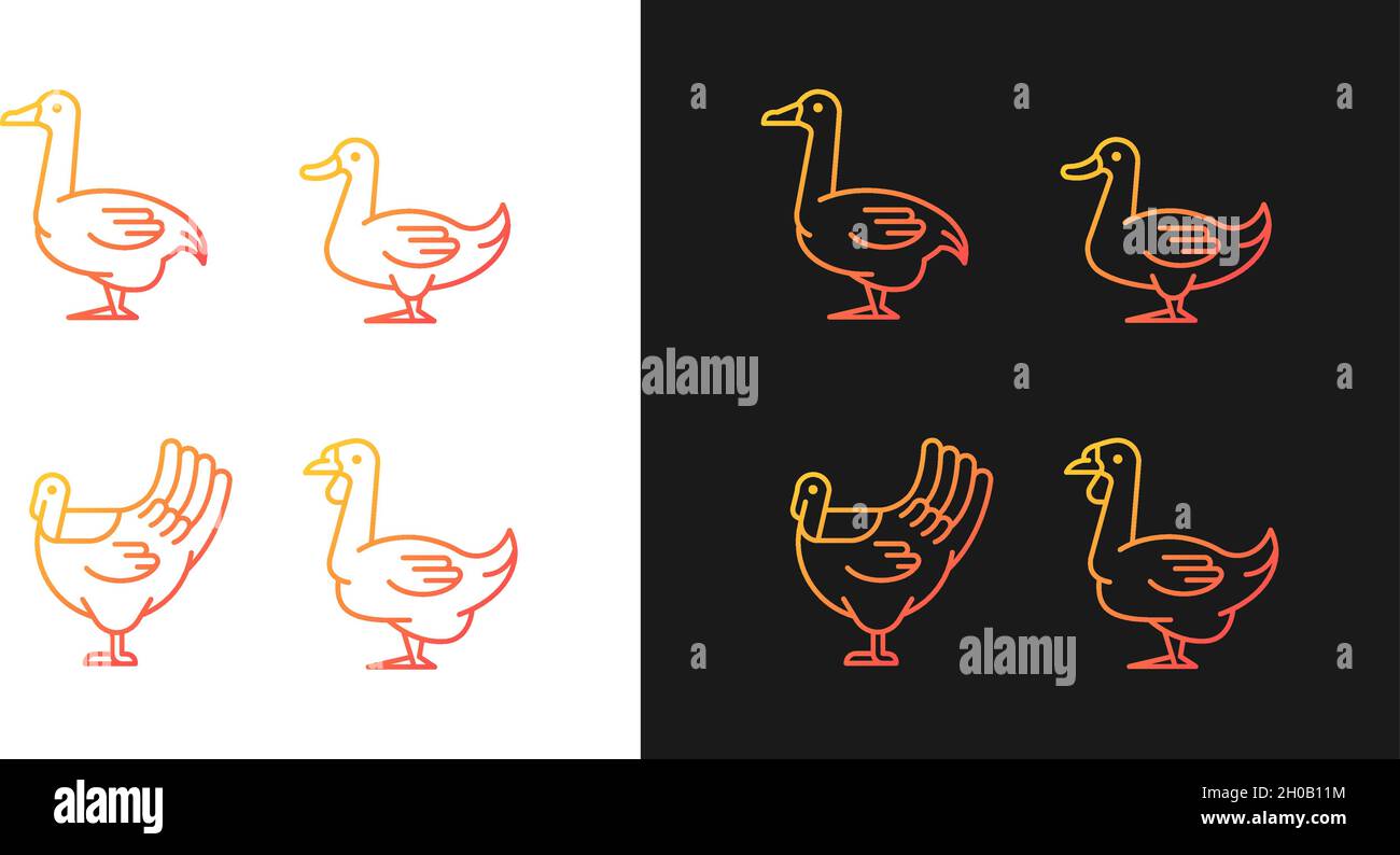 Waterfowl gradient icons set for dark and light mode Stock Vector