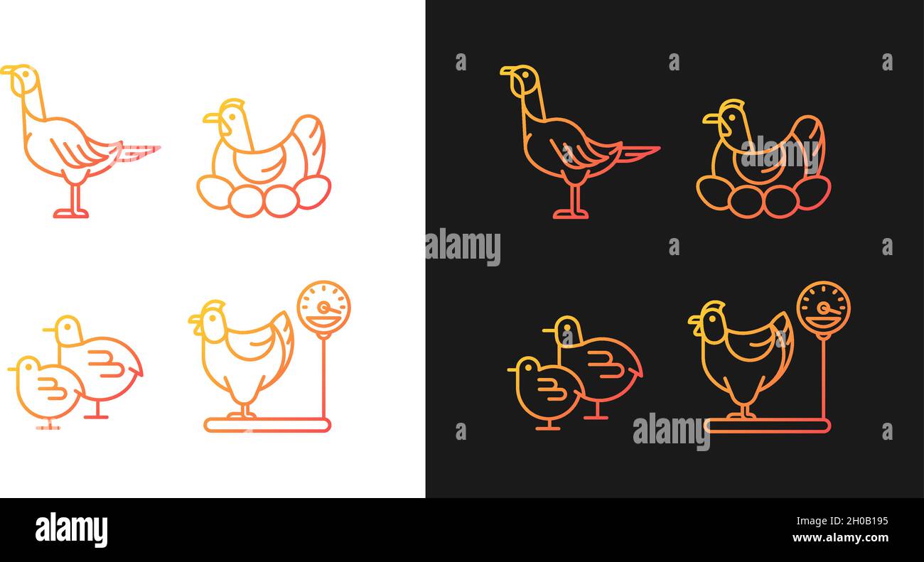 Layer hens Stock Vector Images - Alamy