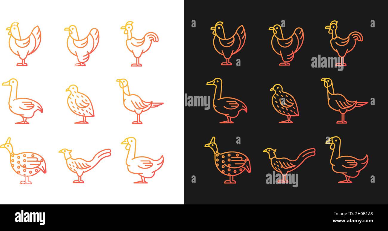 Domesticated birds gradient icons set for dark and light mode Stock ...