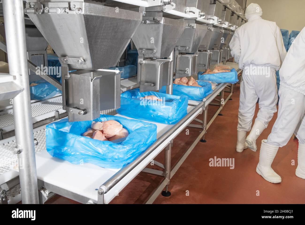 Meat processing plant.People working at a chicken factory - stock photo ...