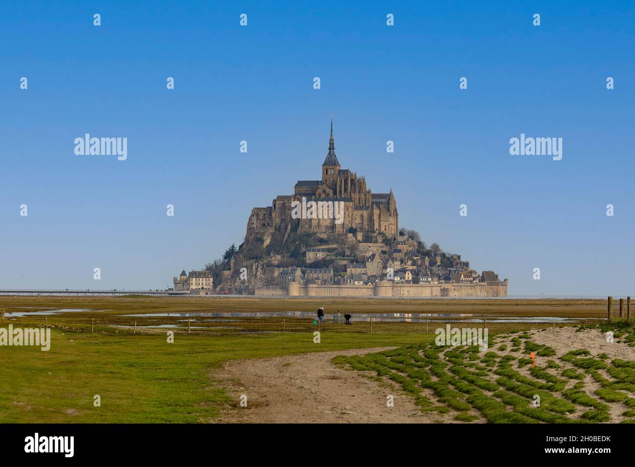 Bay of Mont-Saint-Michel, classified World Heritage by UNESCO, from the village of La Rive, Manche, France Stock Photo