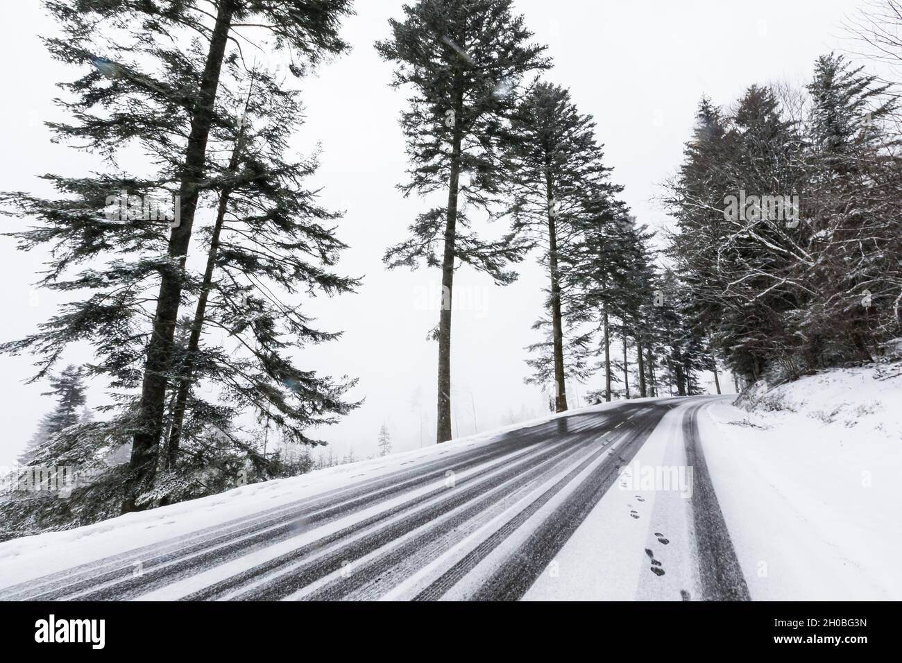 Snow covered road, Route of the Ridges, la Schlucht, Vosges, France Stock Photo