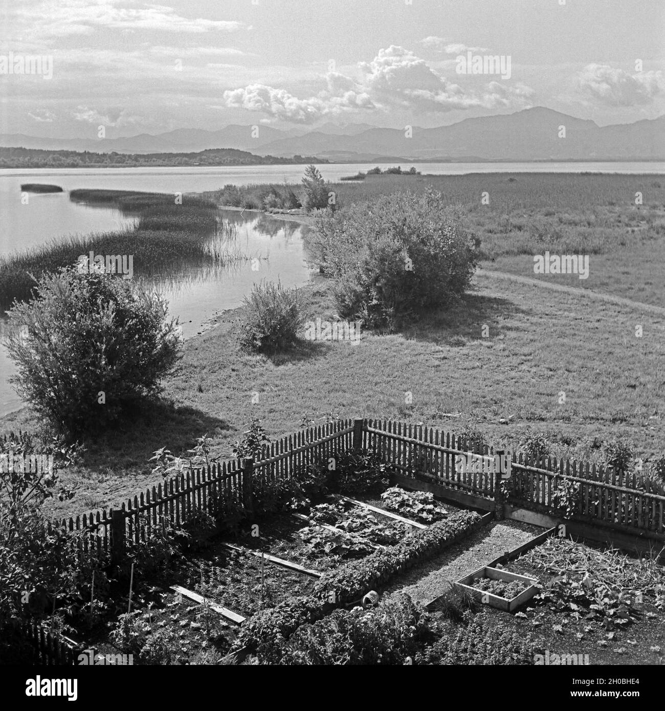 Ein kleiner Gemüsegarten in Seebruck mit Blick auf den Chiemsee, Deutschland 1930er Jahre. A little orchard at Seebruck with view to Chiemsee lake, Germany 1930s. Stock Photo