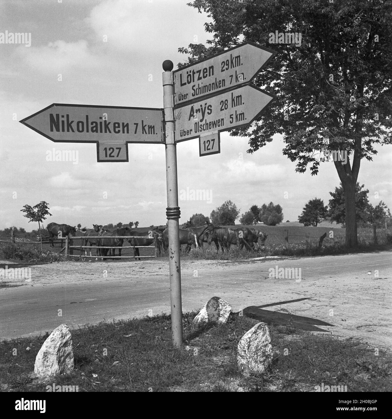 Wegweiser an der Straße nach Lötzen, Nikolaiken und Arys in Ostpreußen, Deutschland 1930er Jahre. Directory at the street to Loetzen, Nikolaiken and Arys in East Prussia, Germany 1930s. Stock Photo