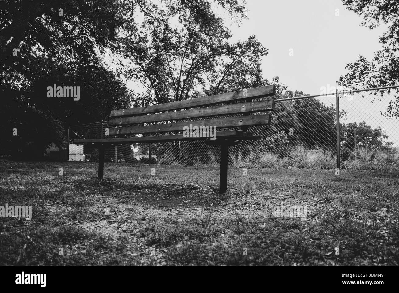 Grayscale photo of a wooden back bench in the garden with a wire fence on the background Stock Photo