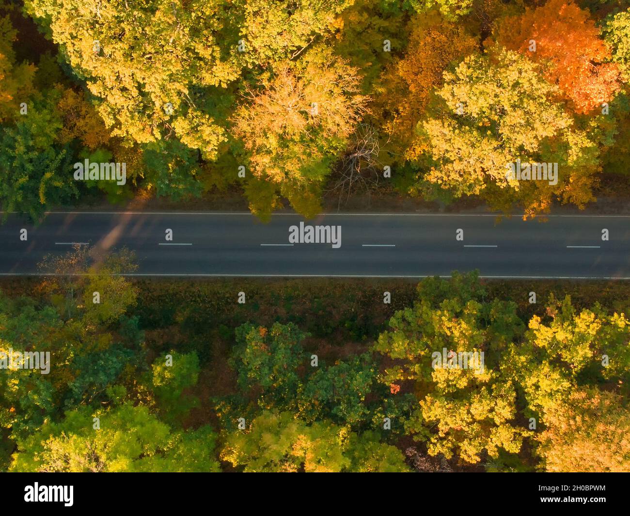 Aerial view of road with car in beautiful forest at sunset autumn Stock ...