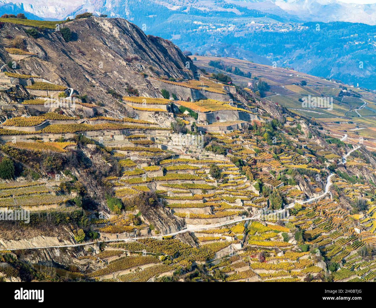 Vineyards in autumn, Valais, Switzerland. Stock Photo