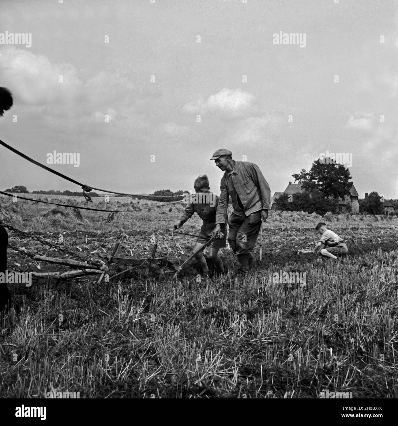 Hitlerjugend als Landhelfer bei einem Bauern in Bevensen in der Lüneburger Heide, Deutschland 1930er Jahre. Hitler youth as support for a farmer at Bevensen, Germany 1930s. Stock Photo
