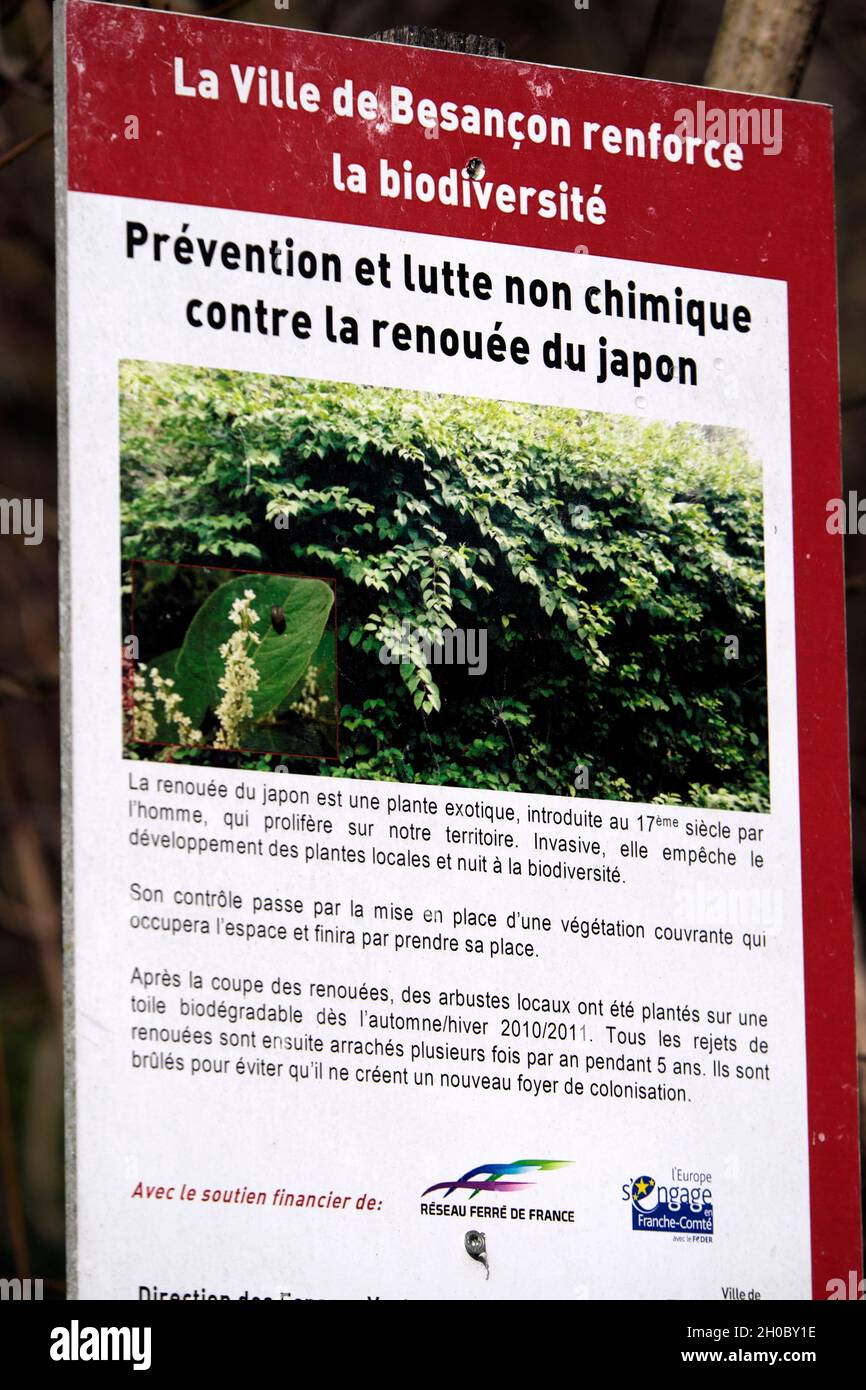 Sign, non-chemical fight against Japanese knotweed, park, Besancon, France Stock Photo