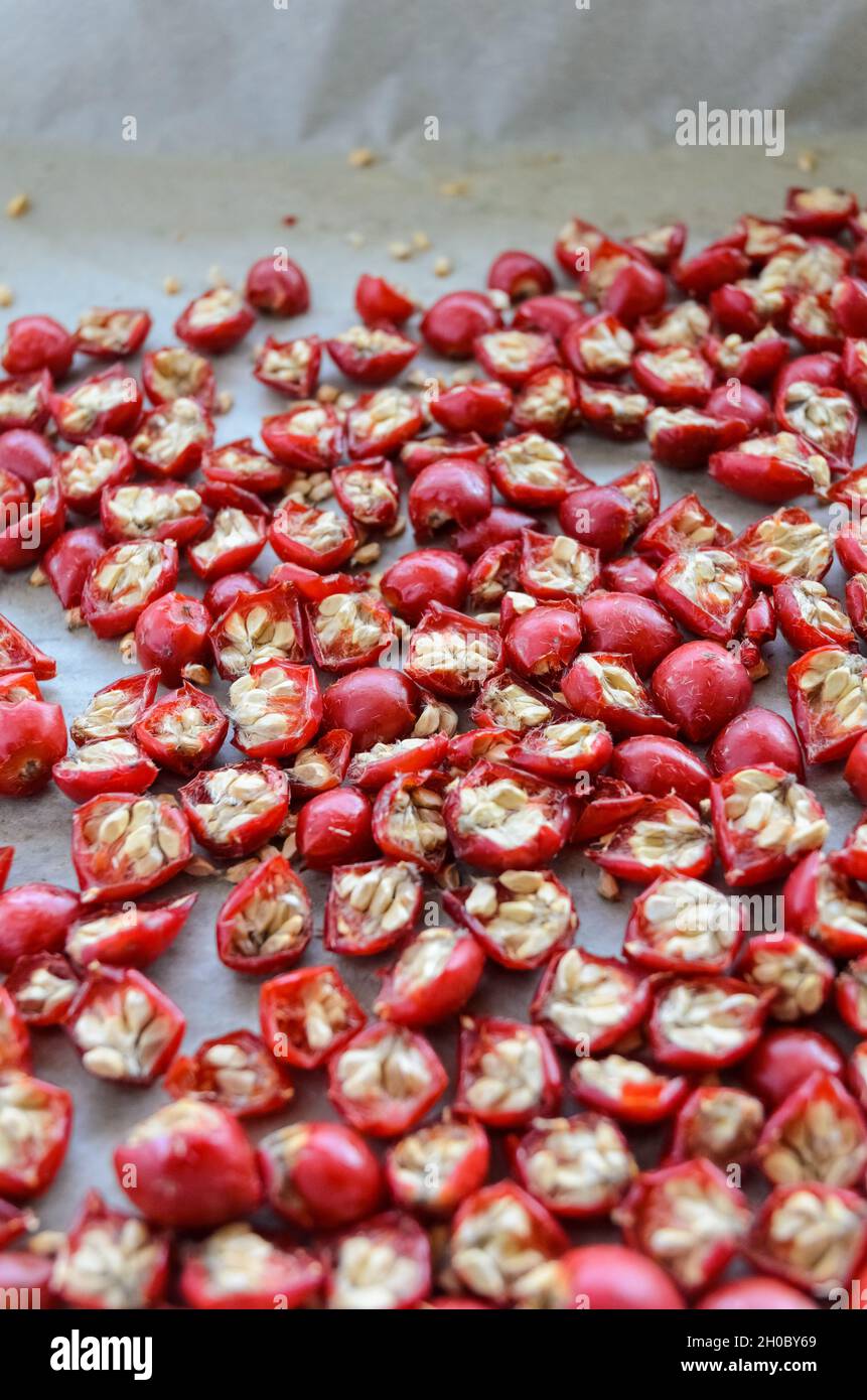 Dried Rose Hip or Rosehip (also called Rose Haw and Rose Hep) fruits and berries on a tray for tea or jelly, flat lay view from above Stock Photo