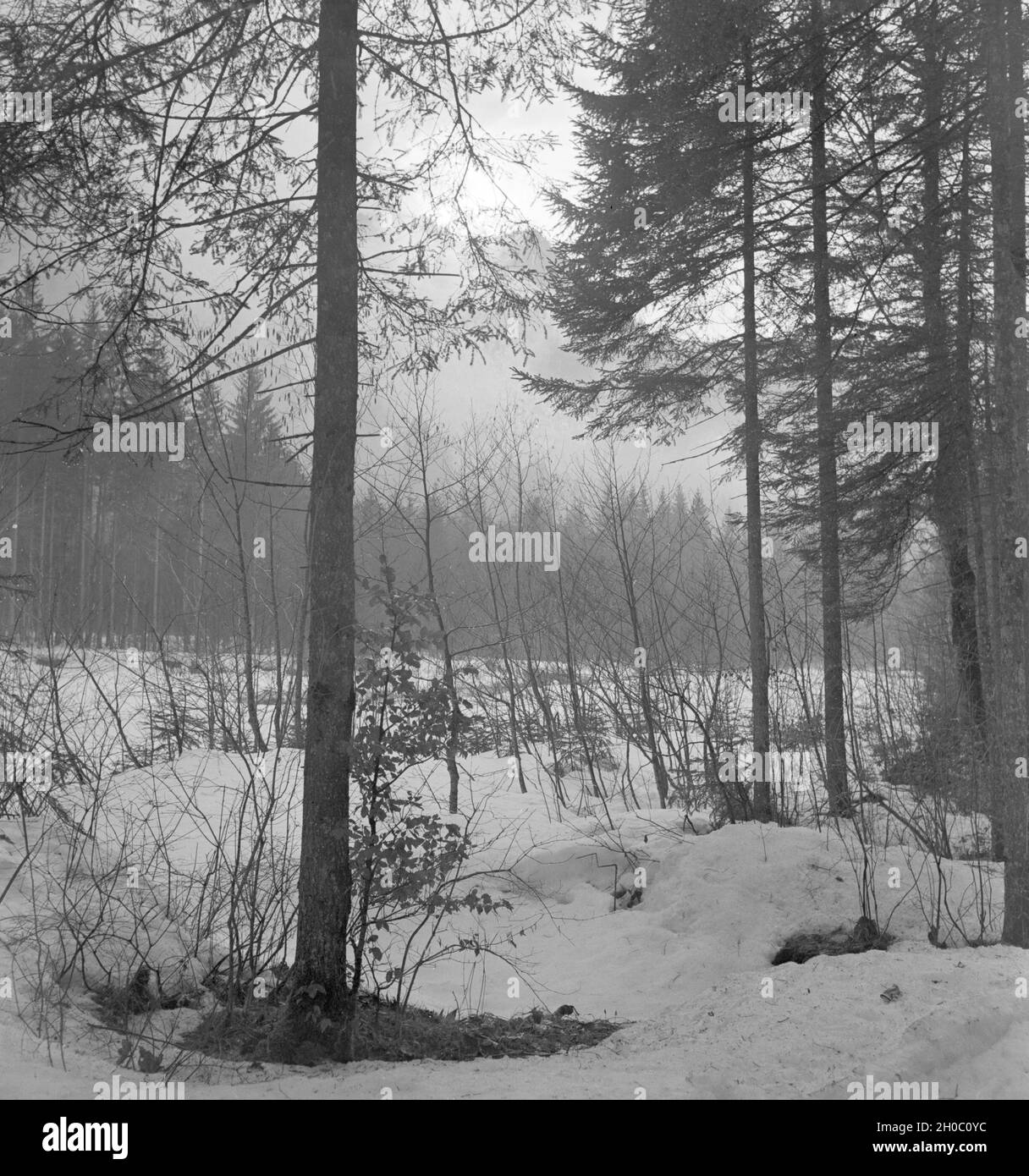 Ein Ausflug in ein Skigebiet in Bayern, Deutsches Reich 1930er Jahre. A trip to a Ski region in Bavaria, Germany 1930s. Stock Photo