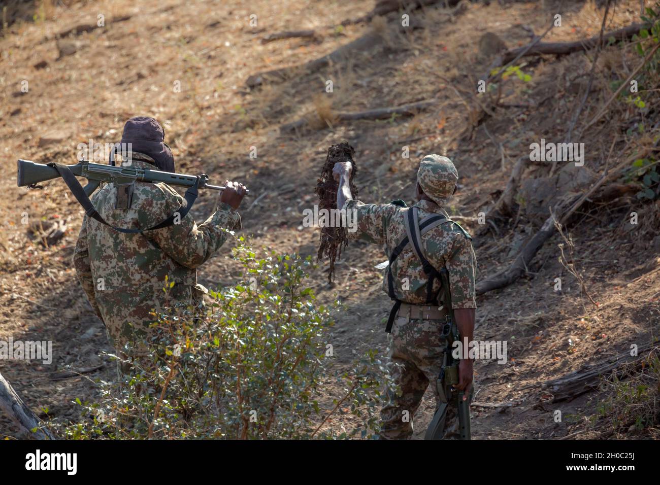 Anti poaching army team researching signs in Kruger national park, South Africa Stock Photo
