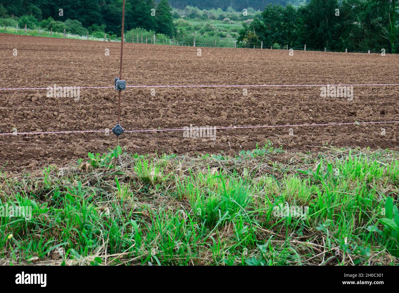 Electric fences against wild boar, Europe Stock Photo