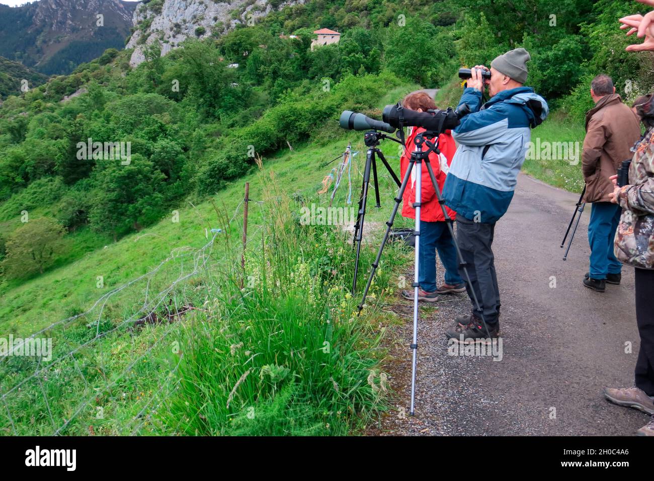 Nature observation from a road, Europe Stock Photo