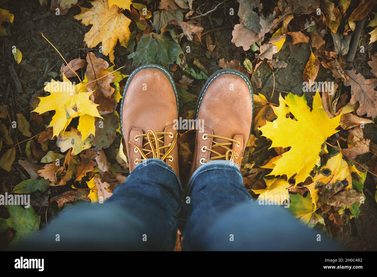 Man legs in jeans and brown leather boots on park ground with colorful fallen maple leaves around. Concept of fall autumn season and trendy hipster lifestyle Stock Photo
