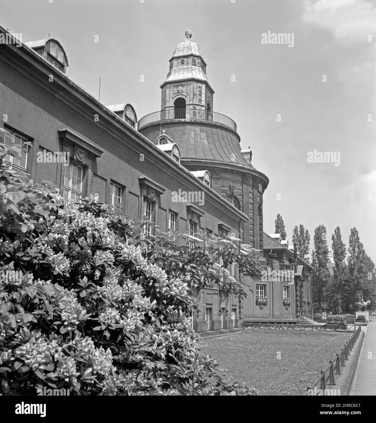 Photo Ancienne Cyclistes Zwickau Oberhaßlau – Allemagne 1930 – Original